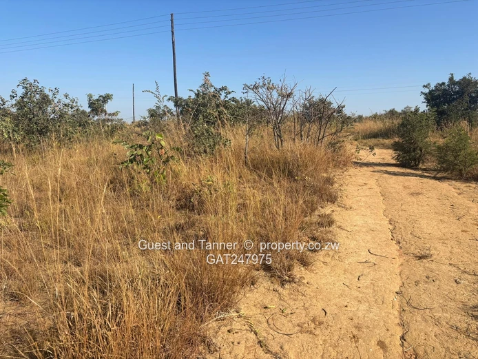 Nyabira Lilfordia Phase 3 Stand For Sale  (Sole Mandate)