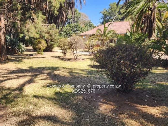 Commercial land for sale