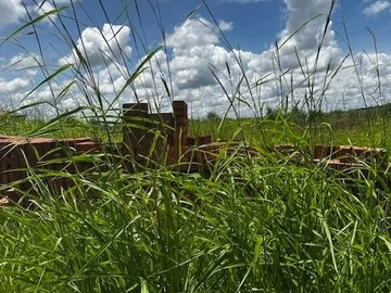 Build Your Dream Home