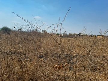 Land