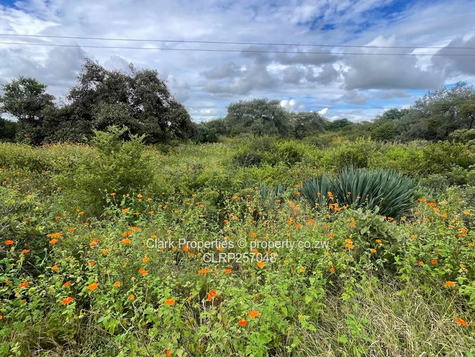 A Private Sanctuary In The Heart Of Bulawayo (Sole Mandate)