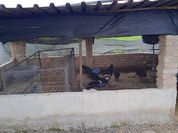 Farm & Agricultural Land