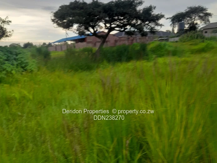 Build your dream home  (Sole Mandate)