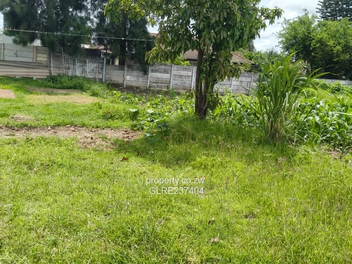 Mabelreign stand for Sale