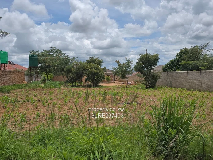 Rockview stand for sale! 