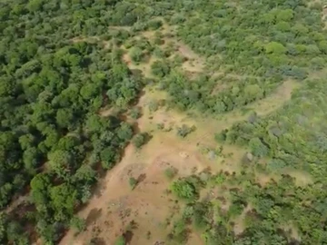 Commercial & Industrial Land