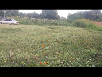Ardbennie 500sqm 