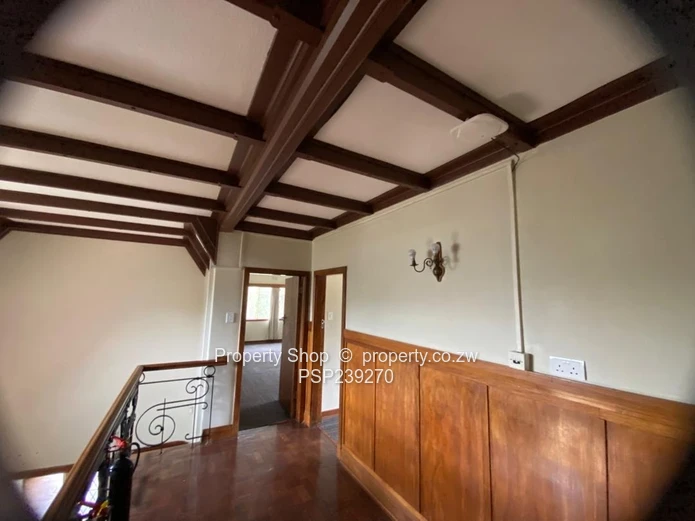 Endless Possibilities In A Leafy Suburb!