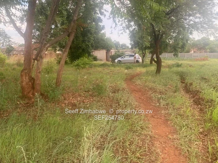 2100m² Knowe Stand — Gravel Road, Trees & Municipal Water