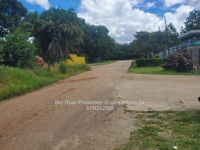 Avondale Stand For Sale