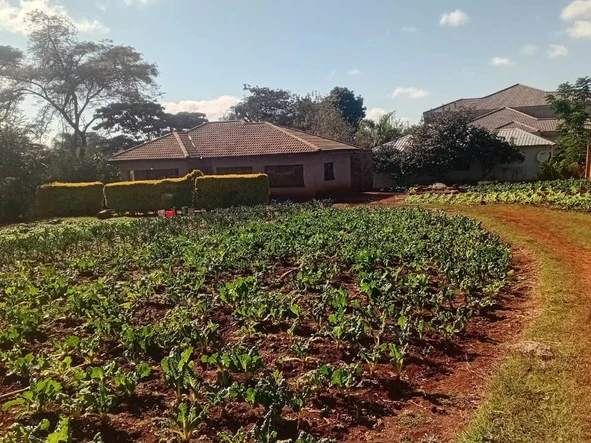 Stands & Residential Land