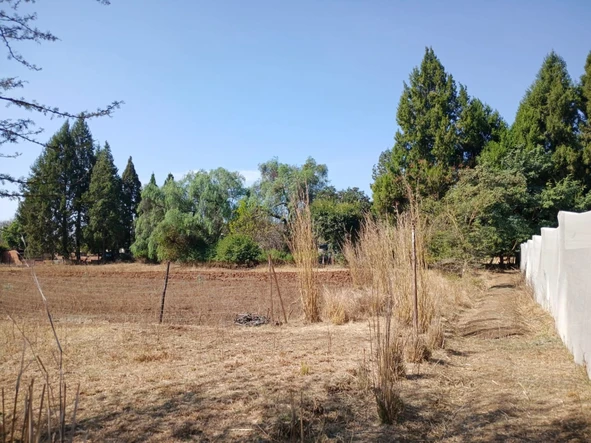 Farm & Agricultural Land