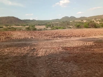 Farm & Agricultural Land