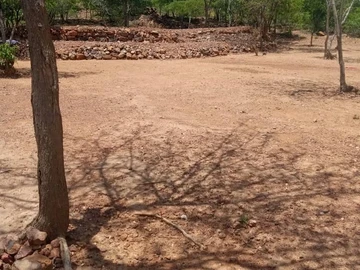 Farm & Agricultural Land