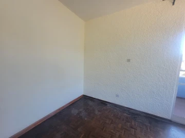 Flat & Apartment