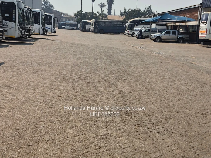 Massive Property In Willowvale