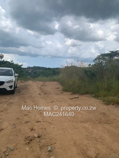 Crowhill In-Fill Stand for Sale (Sole Mandate)