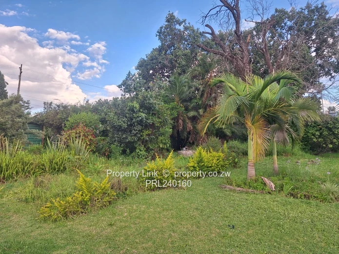 Corner Stand For Sale St Patrick's Road