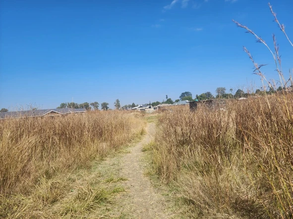 Stands & Residential Land