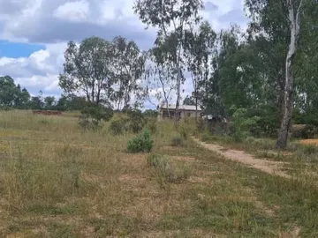 Farm & Agricultural Land