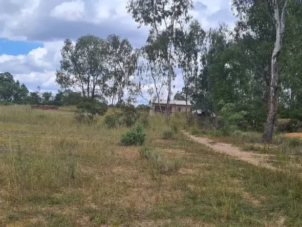 Farm & Agricultural Land