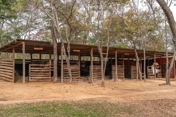 6 Truly magnificent well treed Acres