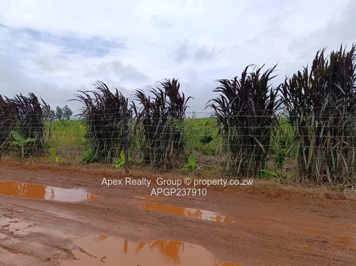 Rainham Plot for sale (Sole Mandate)