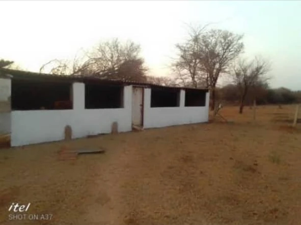 Farm & Agricultural Land