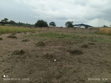 Commercial & Industrial Land