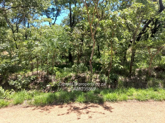 2000sqm stand with title deed in Shawasha on flat land:TERMS ACCEPTED 