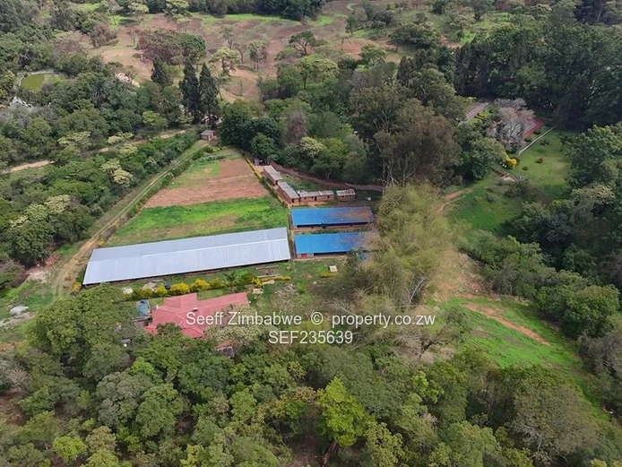 Prime Agro-Residential Property for Sale in Serene Location