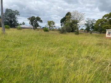 Stands & Residential Land