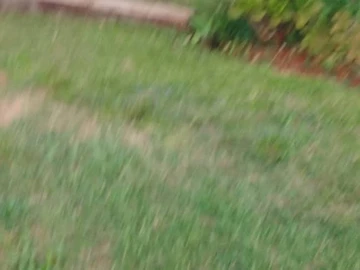 Farm & Agricultural Land