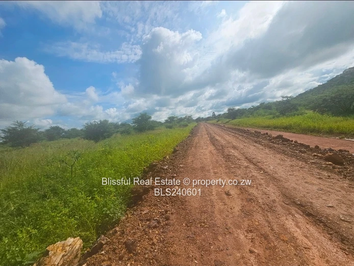 Stands for sale in Doornfontein 