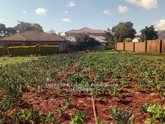 Shawasha Hills Investment Opportunity | Huge Stand | Ready To Expand WITH a Cottage