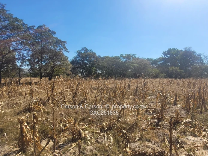 Chivhu, Mashonaland East, A Rare Opportunity for Commercial and or Lifestyle Farming
