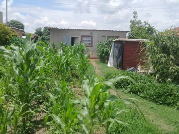 Stands & Residential Land