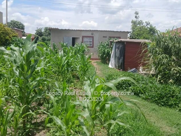 Hot  Deal – Glaudina Marwende Stand For  Quick Sale