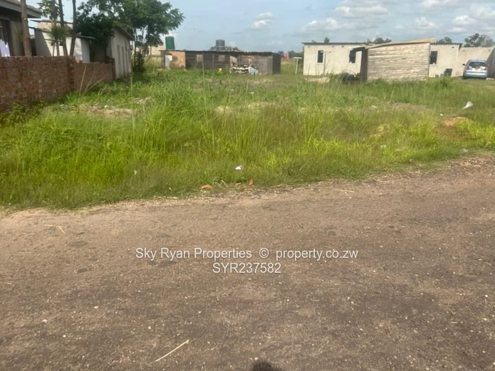 Msasa Park Chardcombe for sale 