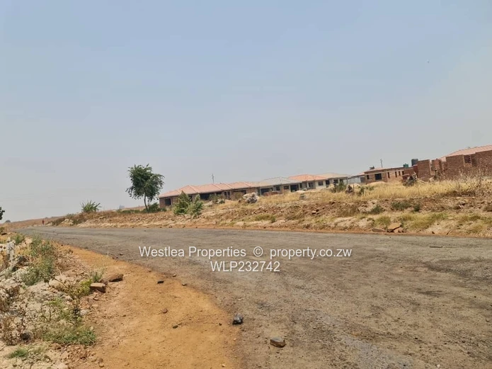 An opportunity not to miss