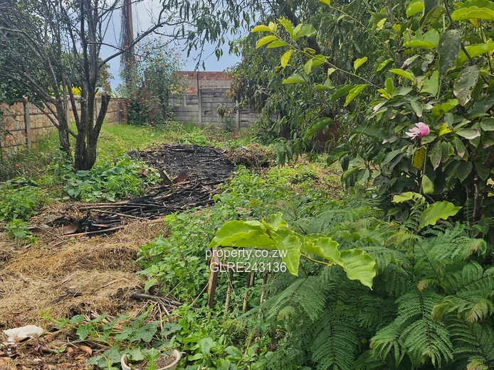 Mabelreign 3-Bed House — Garden, Garage & Staff