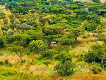 Farm & Agricultural Land