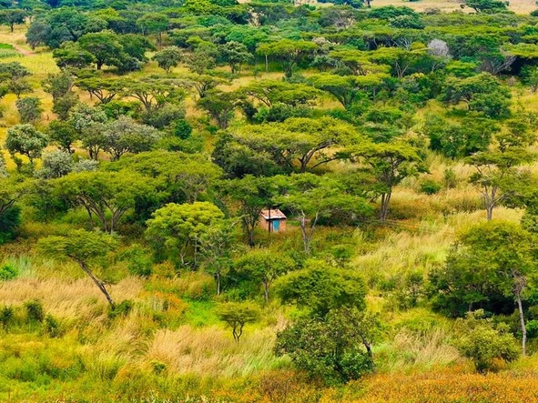 Farm & Agricultural Land