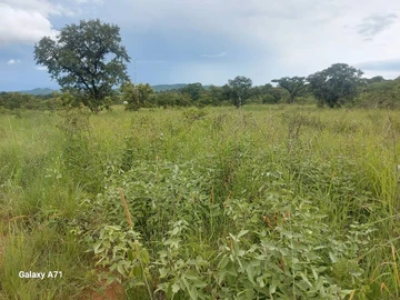 Farm & Agricultural Land