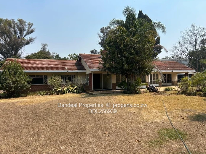 Gunhill Office — 600m² on 4,200m² with Borehole & Gardens