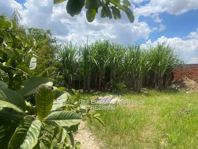 Glen- View 1 - Extension Spacious Stand With 4 Roomed Cottage