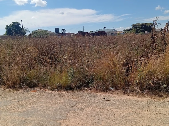 Commercial & Industrial Land
