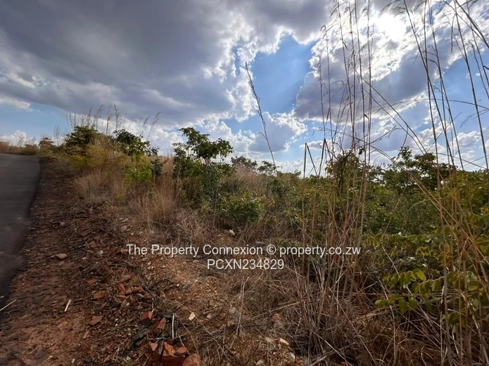 | Best Opportunity to Acquire a Good Investment Home, Buckland Estate |