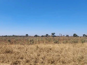 Farm & Agricultural Land