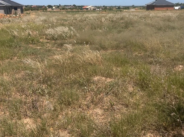 Stands & Residential Land